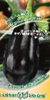 Photo Eggplant grade Chernaya mast