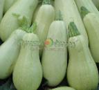 Photo Courgettes grade Oniks