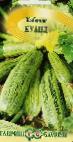 foto Le zucchine la cultivar Kuand