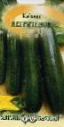 foto Le zucchine la cultivar Negritenok