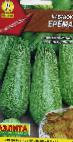 foto Le zucchine la cultivar Erjoma