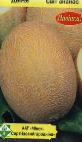 zdjęcie Melon gatunek Svit ananas