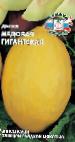 foto Il melone la cultivar Medovaya gigantskaya 