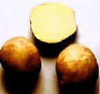 Photo Potatoes grade Yavar