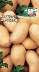 foto La patata la cultivar Ausoniya