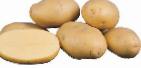 Foto Kartoffeln klasse Agriya