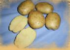 foto La patata la cultivar Uladar