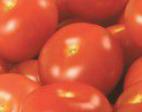 Foto Los tomates variedad Ehklajjm F1
