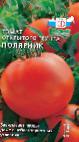 kuva tomaatit laji Polyarnik