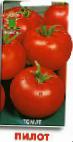 Photo Tomatoes grade Pilot