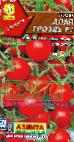 Photo des tomates l'espèce Alaya grozd F1