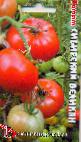 kuva tomaatit laji Sibirskijj Velikan
