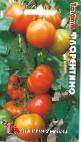 Photo des tomates l'espèce Florentino