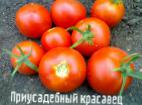 Photo des tomates l'espèce Priusadebnyjj krasavec