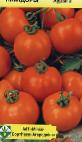 Photo des tomates l'espèce Auriga