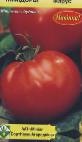 Photo Tomatoes grade Ikarus