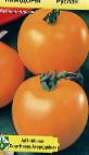 Foto Tomaten klasse Ruslan