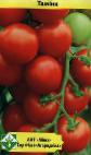 Foto Tomaten klasse Tamina