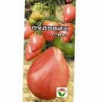 Photo Tomatoes grade Pudovik