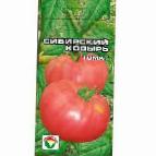 Foto Tomaten klasse Sibirskijj kozyr