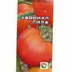Foto Los tomates variedad Ubojjnaya sila