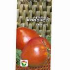Photo Tomatoes grade Car-kolokol