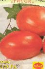 kuva tomaatit laji Laura
