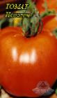 foto I pomodori la cultivar Ispolin