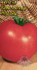 Photo Tomatoes grade Korolevskijj Rozovyjj