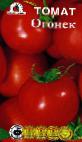 Foto Tomaten klasse Ogonek
