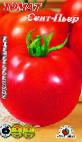 foto I pomodori la cultivar Sent-Per