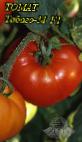 Foto Tomaten klasse Tabago-M F1