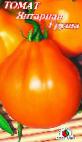 Photo Tomatoes grade Yantarnaya Grusha