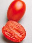 Foto Tomaten klasse Gvadelette 312 F1