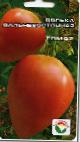 Photo des tomates l'espèce Dolka dalnevostochnaya