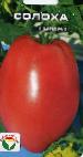 Foto Los tomates variedad Solokha