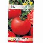 Foto Los tomates variedad Patris