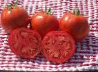 kuva tomaatit laji Lakota F1