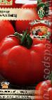 Foto Tomaten klasse Baltiec