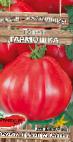 Foto Los tomates variedad Garmoshka