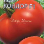 kuva tomaatit laji Kondor F1