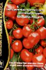 Photo Tomatoes grade Marina Roshha F1