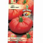 Foto Los tomates variedad Minotavr