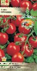 Foto Tomaten klasse Proshka