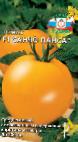 kuva tomaatit laji Sancho Pansa F1
