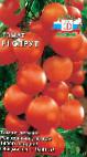 Foto Los tomates variedad Sprut F1