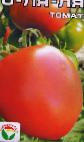 Foto Los tomates variedad O-lya-lya 