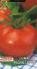 Photo des tomates l'espèce Radostnyjj