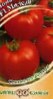 Photo des tomates l'espèce Miledi F1 Gavrish