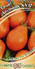 Foto Los tomates variedad Lyudovik XVII
